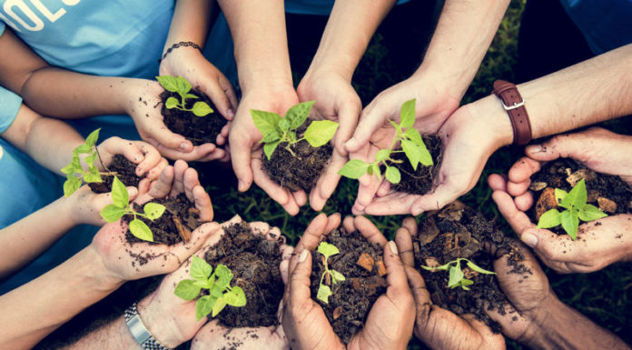 Registration Opens for Mayor’s Greening Initiative Tree Planting