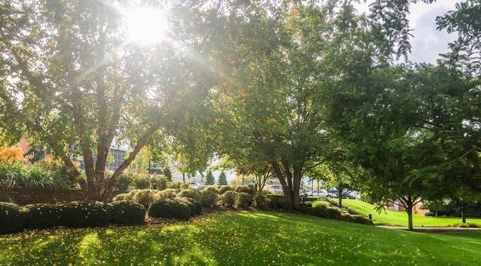 City’s Urban Agriculture Committee seeks community input