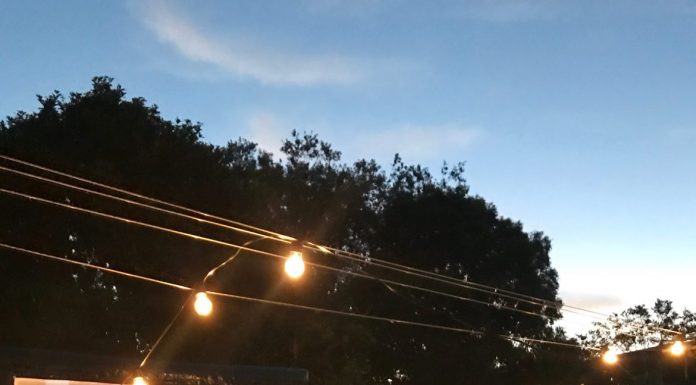 My Summer Manifesto: A Little Less Doing