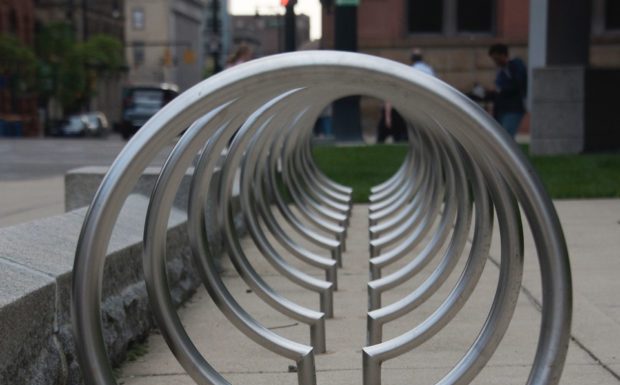 Photo Walking 101 with Dianne Caroll Burdick