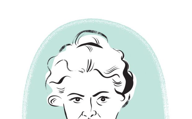 Her Legacy: The Great War of Cornelia Steketee Hulst