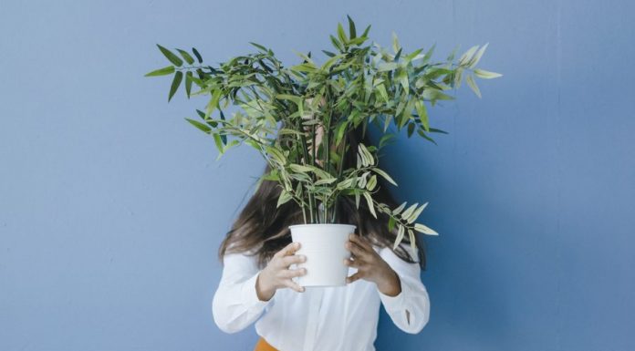 Working from home made me depressed—then I got plants