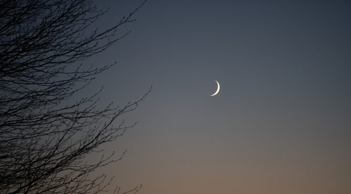 Tonight’s new moon will reveal a lot about your relationships—here’s what it means for your zodiac sign