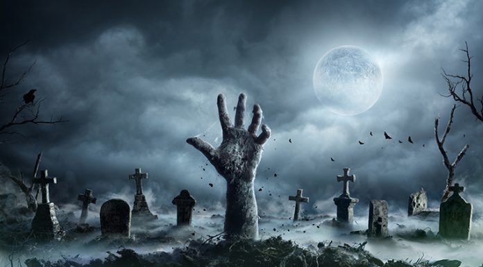 Halloween Celebrations in West Michigan