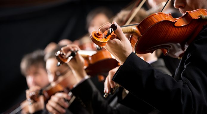 5 Things To Do This Weekend Nov 8-10