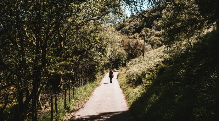 A journey with recovery: how I dealt with trauma after becoming sober