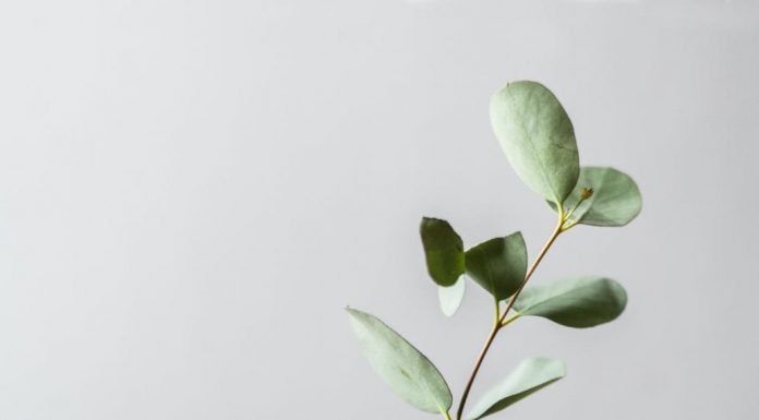 I Asked 10 People What They’re Most Grateful for and This Is What They Said