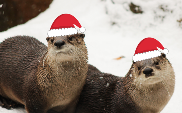 John Ball Zoo Offering Black Friday Deal on Annual Memberships