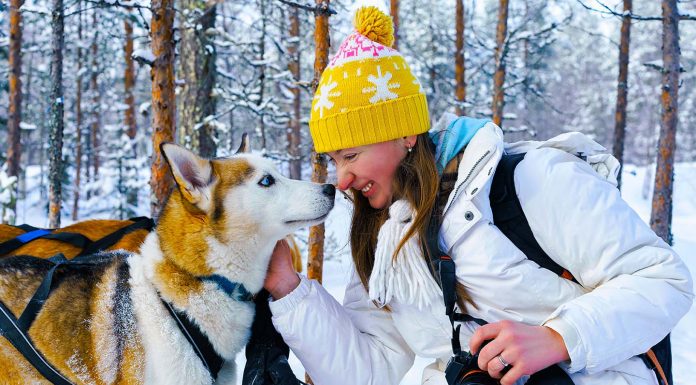 25 Things To Do This Winter in West Michigan