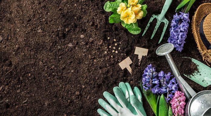 Extend Your Garden Season