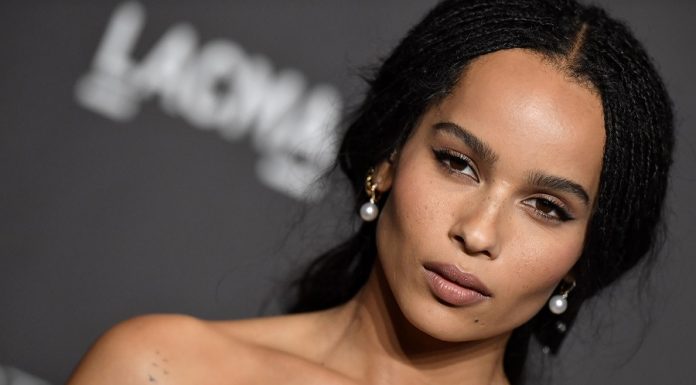 Zoë Kravitz clapped back at a troll who made a completely inappropriate comment about her skin tone