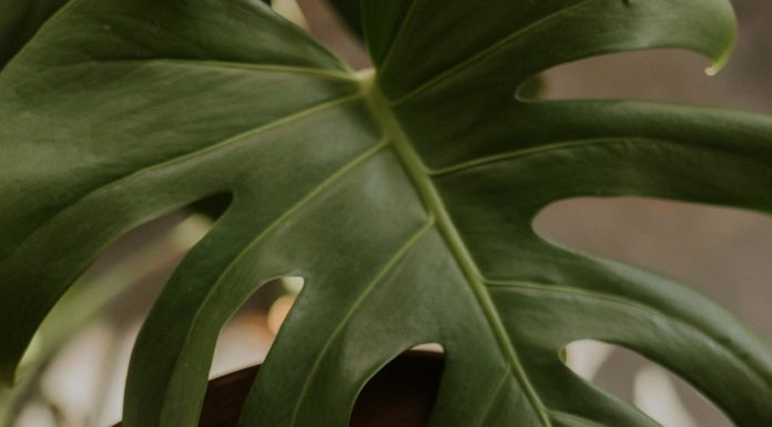 How W&D Readers Are Taking Care of Themselves Right Now