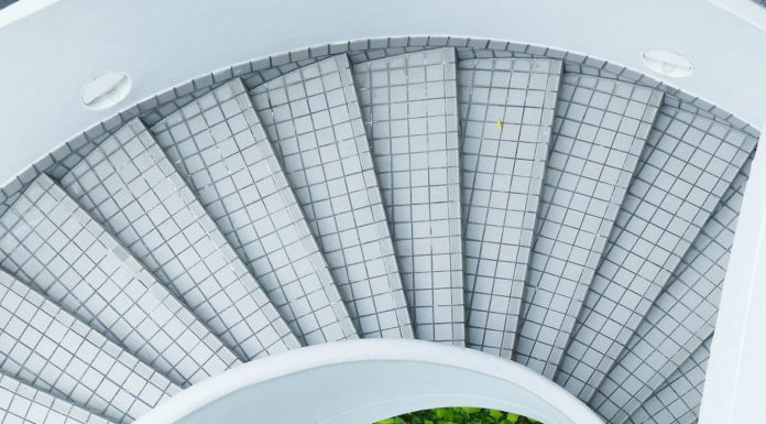 Bird by Bird: On Taking Small Action