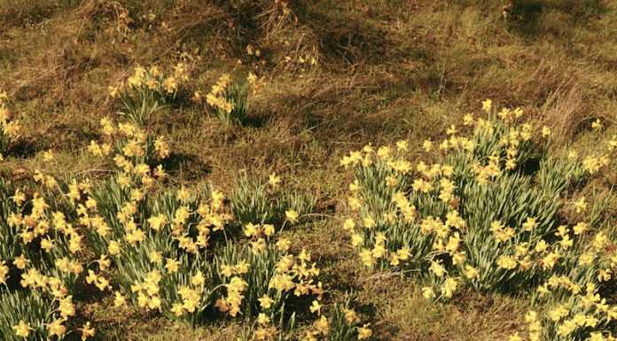 The Powerful Practice of Rest—and What It’s Meant for Me