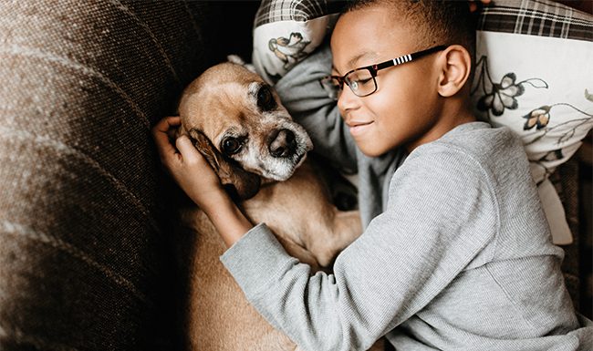 Welcome a 4-Legged Family Member with Care