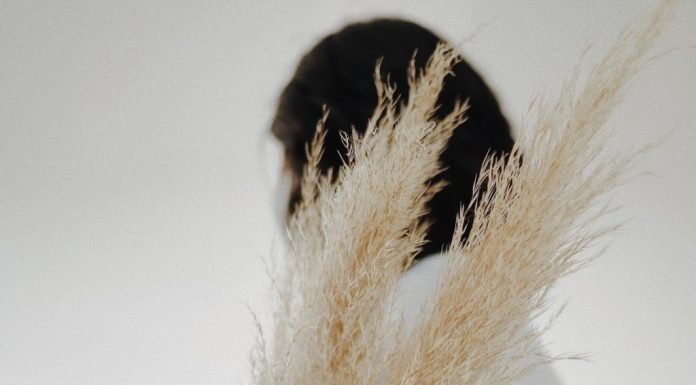 A Case for Breaking Out of Your Boxes