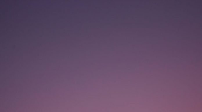 Morning Moments: Setting the Tone for Your Day